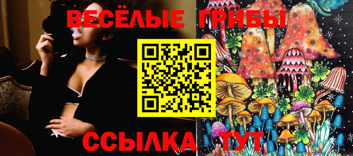 Псилоцибиновые грибы ЛСД  Вход с VPN  Галлюциногенные грибы Magic Shrooms  Михайловка 