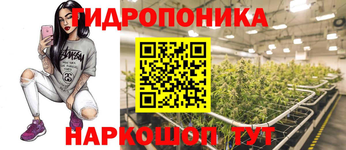 Каннабис сатива  Вход с VPN  Бошки Шишки White Widow  Каннабис планчик  Михайловка 